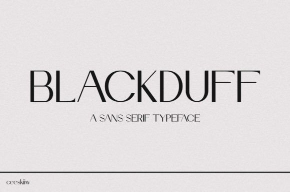 Blackduff: A Modern Sans Serif Typeface for Digital Brands