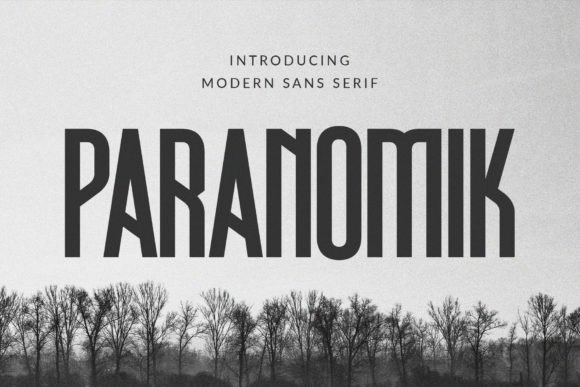 Paranomik: The Modern Sans Serif Font for Crafters