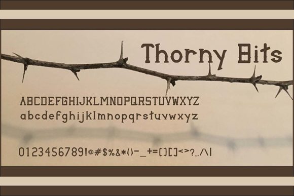 Thorny Bits: A Serif Font for Editorial Character